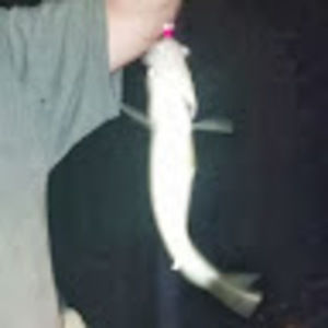 Meet your Posher, Matt